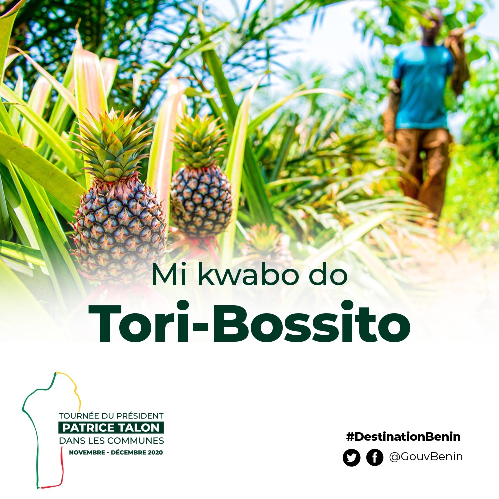 Benin Destination Tori Bossito